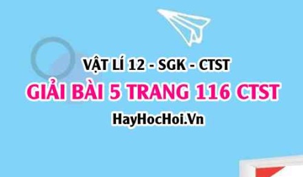 Giải bài 5 trang 116 Vật lí 12 Chân trời sáng tạo SGK
